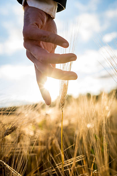 istock Businessman or environmentalist reaching down with his hand gent 485326906