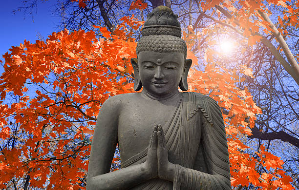Free Stock Photo of Buddha Statue Standing in Front of Trees | Download ...