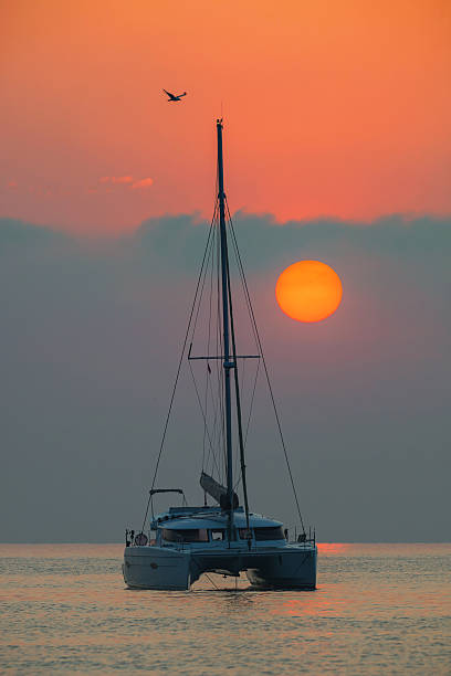 Beautiful catamaran sailing on the background of the sea sunrise stock photo