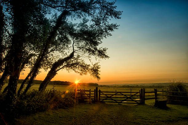 colorato tramonto sul tradizionale paesaggio agricolo in estate - farm gate foto e immagini stock