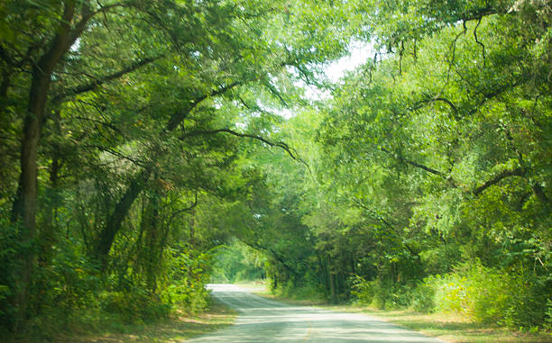 istock blurry beautiful street in a country 485333196