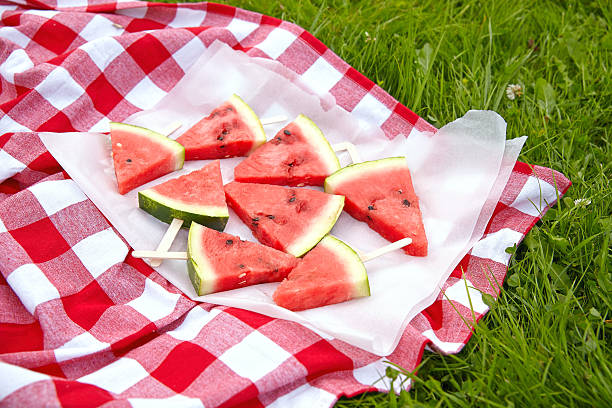 istock Watermelon pops for a picnic 485333226