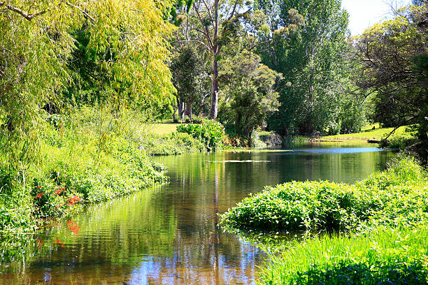 istock Amazing sunny scenery with water and greenery. 485334168
