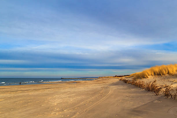 istock Grass covered dunes shores Baltic Sea 485337921
