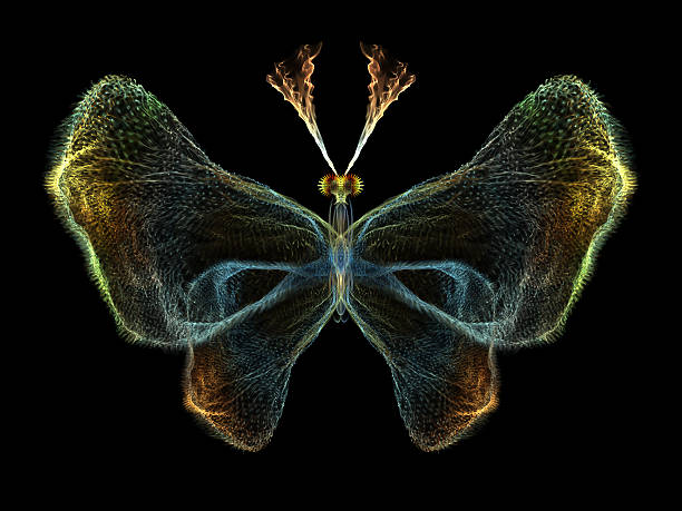 istock Elegance of Butterfly 485338051