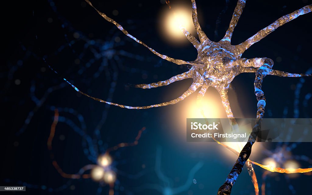 Active Neuron cells, synapse network Glowing synapse in human neural system network. Full CGI showing active neuron cells. Accuracy Stock Photo