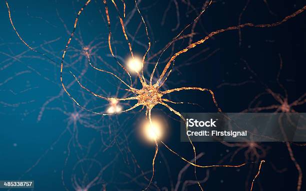 Aktivneuron Zelle Synapse Netzwerk Stockfoto und mehr Bilder von Anatomie - Anatomie, Axon, Beleuchtet