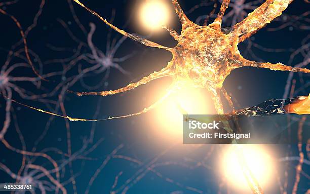 Aktywne Neuron Komórek Synapse Sieci - zdjęcia stockowe i więcej obrazów Anatomia człowieka - Anatomia człowieka, Badanie genetyczne, Badanie lekarskie