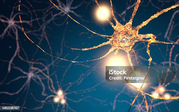 Active Neuron Cells Synapse Network Stock Photo - Download Image Now - Neurotransmitter, Accuracy, Anatomy
