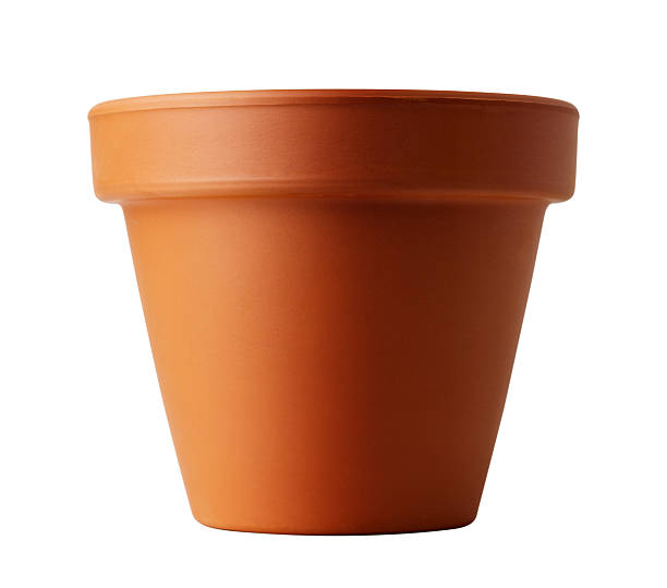 istock flower pot isolated on white 485339011