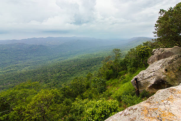 istock Scenic View of national park 485341922