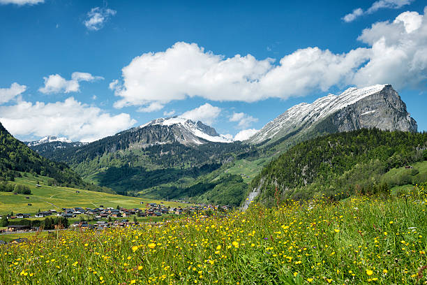 góry pokryte śniegiem i kwitnących łąka w alpach - bregenzwald zdjęcia i obrazy z banku zdjęć