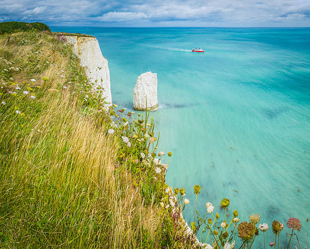 Blue ocean boat white cliffs sea stacks Jurassic Coast Dorset Wildflowers and green summer grassland on top of the white chalk cliffs and sea stacks of Old Harry at Handfast Point high above the clear blue turquoise sea of the Jurassic Coast, a UNESCO World Heritage Site, on the Isle of Purbeck, Dorset, UK. ProPhoto RGB profile for maximum color fidelity and gamut. jurassic coast world heritage site stock pictures, royalty-free photos & images