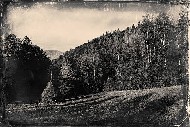 istock grass field in the mountains - Vintage effect 485342864