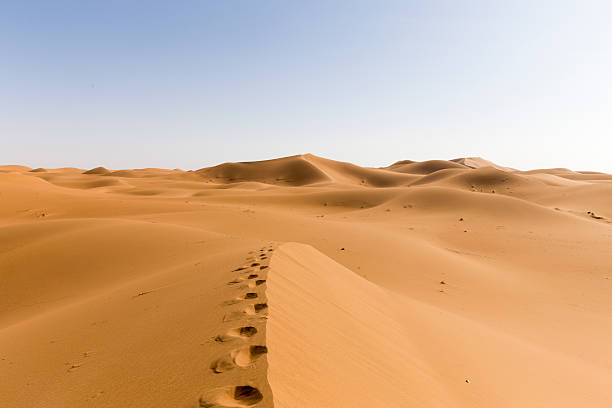 istock Foot print in desert sand 485343407