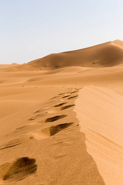 istock Foot print in desert sand 485343429