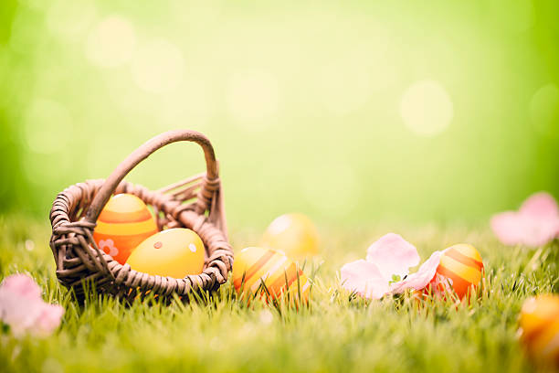 istock Easter Eggs in basket - Green Grass Defocused Bokeh Backgrounds 485344617