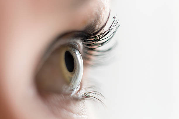 Macro Photograph Of A Blue Eye