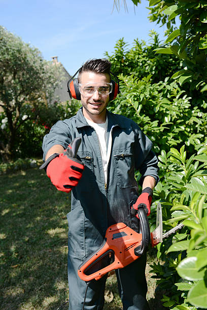 istock handsome young man gardener trimming hedgerow in a park outdoor 485347548