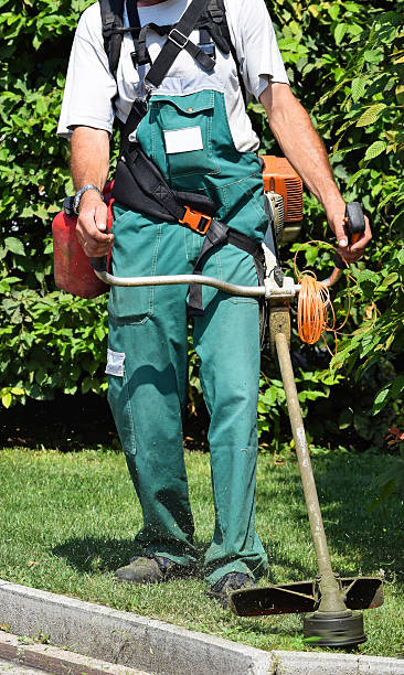 istock Mowing the grass in the park 485351090