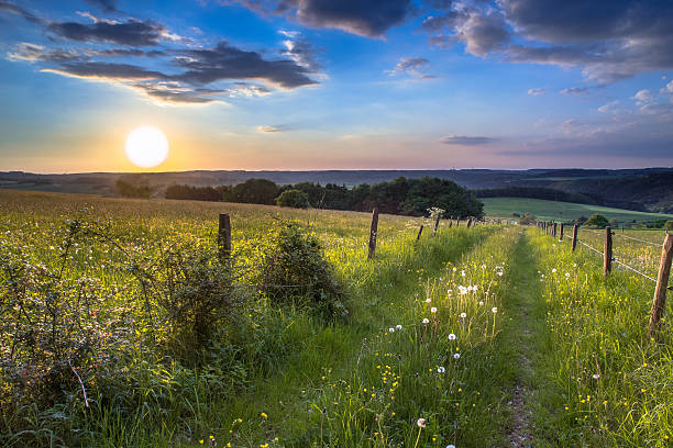 atardecer trail perspectiva - eifel fotografías e imágenes de stock