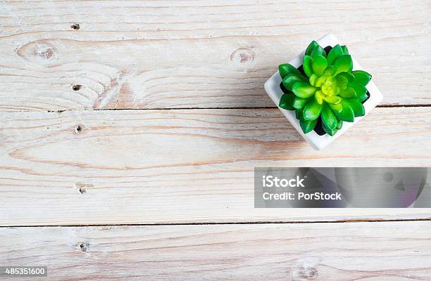 Saftige In Pot Stockfoto und mehr Bilder von 2015 - 2015, Bildhintergrund, Blatt - Pflanzenbestandteile