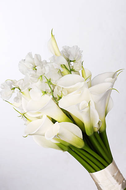 istock Bouquet of white calla lilies and eustoma on white` background 485352162