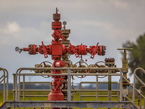 Gas field well head Well head of a gas field station in the Netherlands oil wellhead stock pictures, royalty-free photos & images