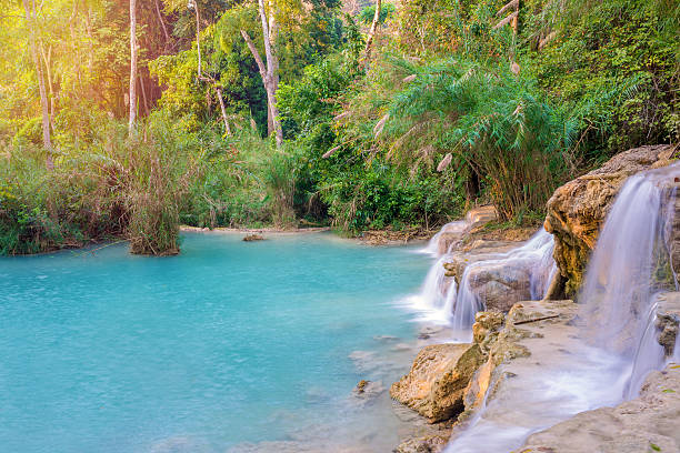 istock Waterfall in rain forest (Tat Kuang Si Waterfalls at Laos. 485355664