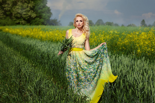 Beautiful blonde girl standing in a field with ears of corn in his hand.