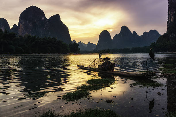 istock The cormant fisherman in li river 485358620