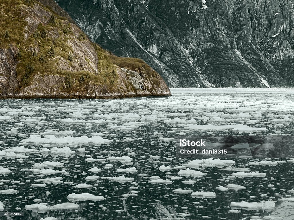 Glacier Bay National Park, Alaska, USA 2015 Stock Photo