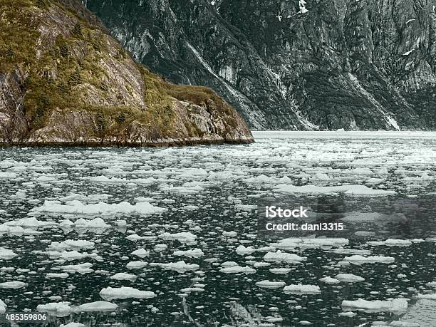 Glacier Bay National Park Alaska Usa Stock Photo - Download Image Now - 2015, Alaska - US State, Alaskan Culture