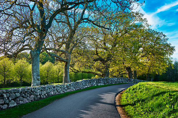 istock Old stone wall at a Funen manor 485359998