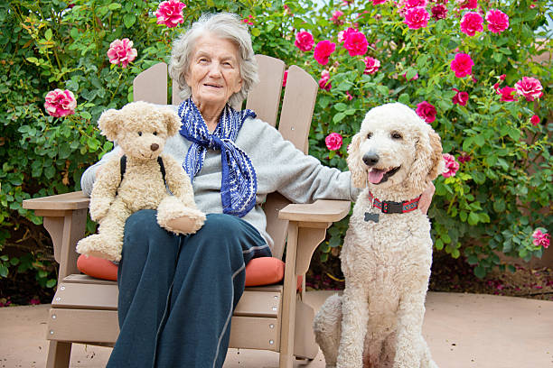 senior femme et chien reposant soin - senior adult dog nursing home pets photos et images de collection