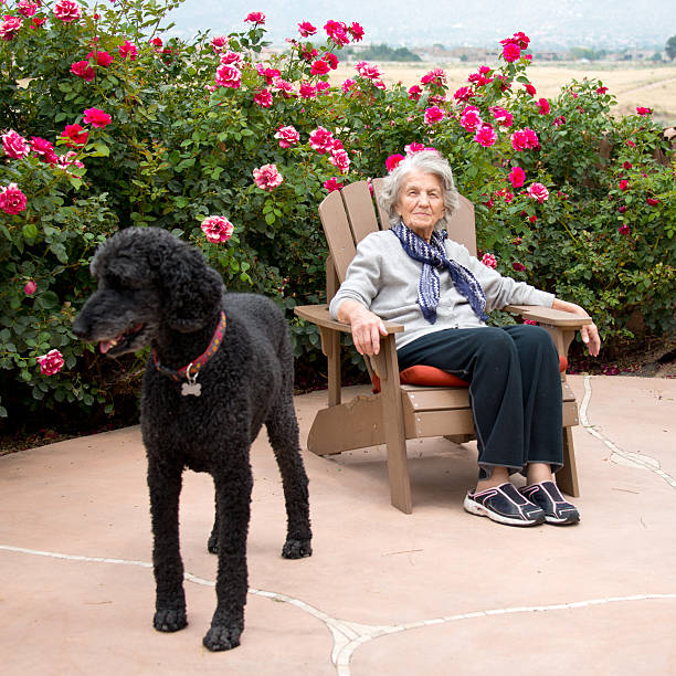 istock Senior Woman with Therapy Dog, Resting 485363952