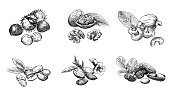 nuss-set.jpg?b=1&s=170x170&k=20&c=-PGCFmSpNIBDQTOQ8TyUNbflY1MwFi5HPk6Lt_Flo2E=