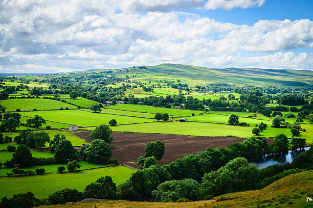 istock Meandering River making its way through lush green rural farmland 485366288