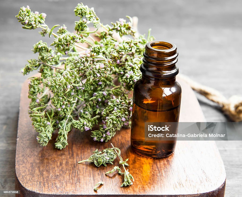 Thyme Essential Oil Bottle Thyme Herb Essential Oil Bottle on a Wooden Board 2015 Stock Photo