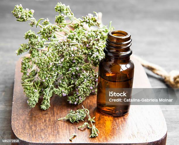 Thyme Essential Oil Bottle Stock Photo - Download Image Now - 2015, Backgrounds, Bottle