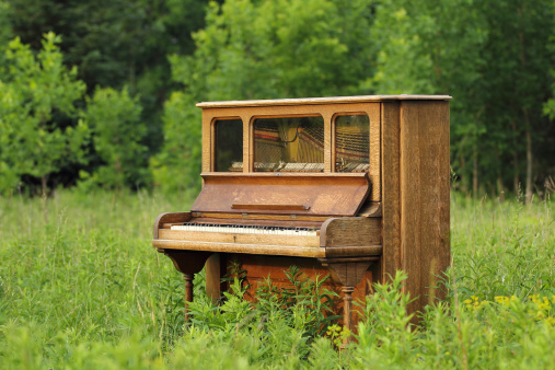 Old Upright Piano Seen Abandoned in a Green Field