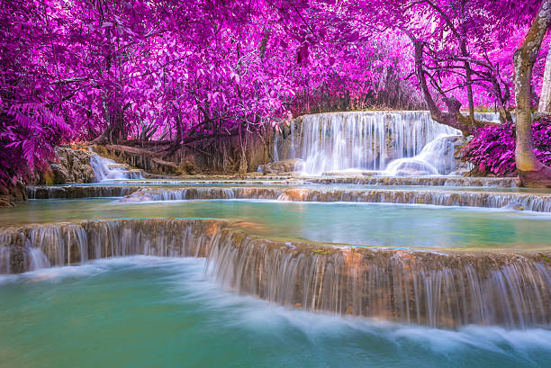 Waterfall in rain forest (Tat Kuang Si Waterfalls at Luang prabang, Laos.)