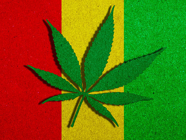 stockillustraties, clipart, cartoons en iconen met background texture paper rasta flag with marijuana leaf silhouette - marihuana gedroogde cannabis