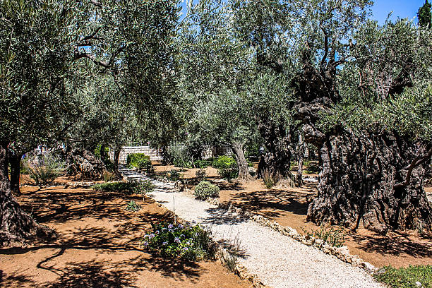 istock Garden of Gethsemane 485375560