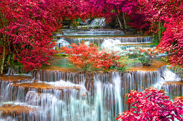 워터풀 in 심홍색 우림, 국립 공원, 작은 - awe beauty in nature waterfall cool 뉴스 사진 이미지