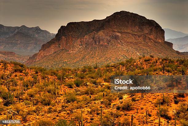 Photo libre de droit de Tempête Du Désert Sapprocher banque d'images et plus d'images libres de droit de Cactus laineux - Cactus laineux, Coucher de soleil, Désert