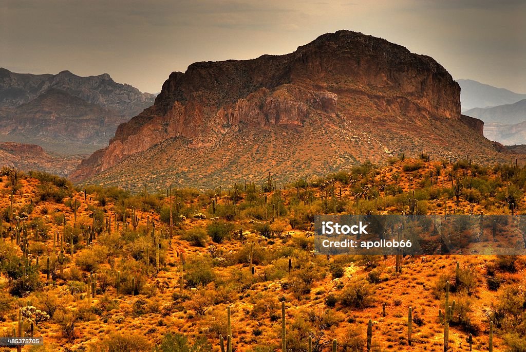 Desert Storm arrivo - Foto stock royalty-free di Ambientazione esterna