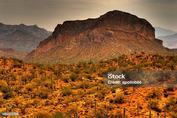 Desert Storm Arrivo - Fotografie stock e altre immagini di Ambientazione esterna - Ambientazione esterna, Cactus Saguaro, Cactus cholla
