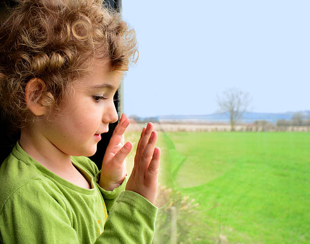 istock Young child looking out of the window. 485376599