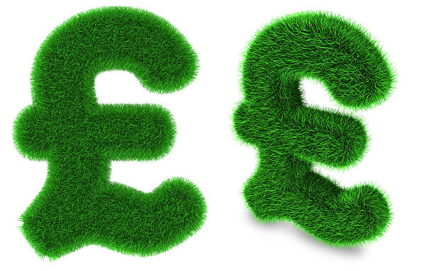 britisches pfund-währungssymbol aus gras - pound symbol environment grass currency stock-fotos und bilder